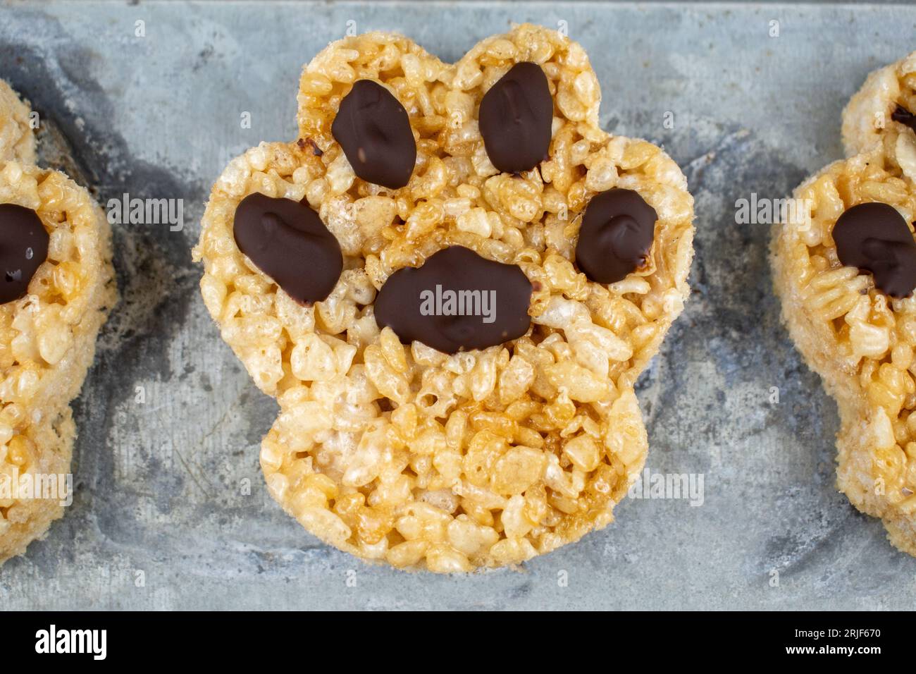 Hündchen-Pfoten-Reis-Krispie-Leckerlis Stockfoto