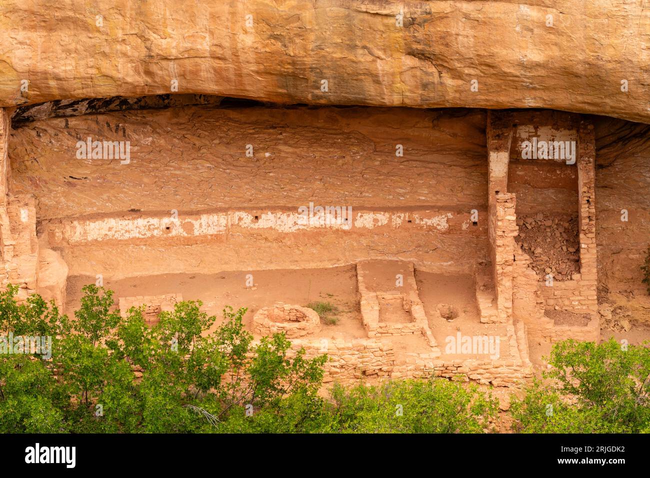 Dance Plaza at Fire Temple in Nische in Chapin Mesa, Blick von Mesa Top Loop, Mesa Verde National Park, Colorado, USA Stockfoto