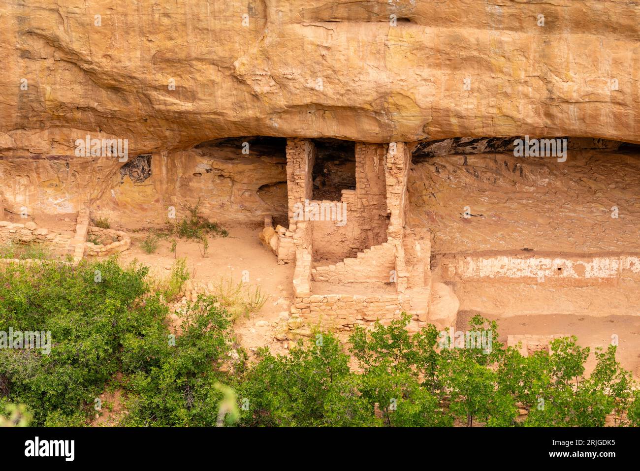 Dance Plaza at Fire Temple in Nische in Chapin Mesa, Blick von Mesa Top Loop, Mesa Verde National Park, Colorado, USA Stockfoto