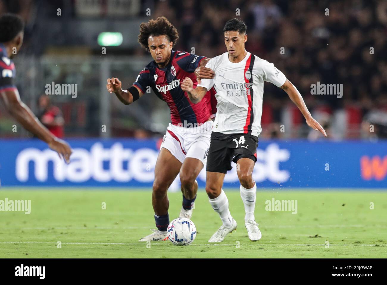 Joshua Zirkzee aus Bologna (L) und Tijjani Reijnders aus dem AC Mailand (R) in Aktion während der SERIE A TIM 2023/24 Fußballspiel zwischen Bologna und AC Mailand in Renato Dall Ara. Endstand: Bologna 0:2 AC Mailand Stockfoto