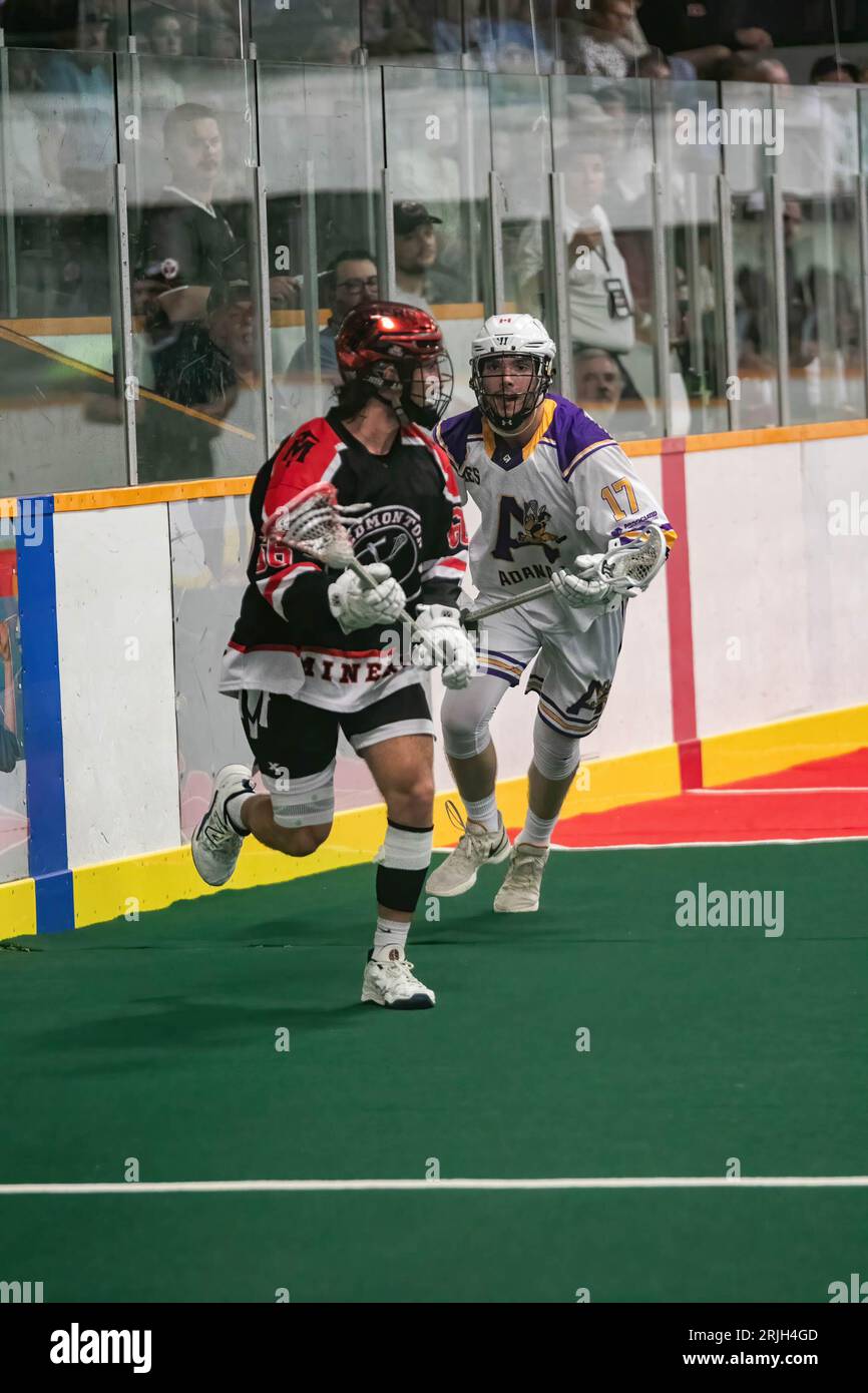 Edmonton Miners (schwarz/orange) Alex Lemiuex (66) arbeitet um Coquitlam Adanacs (weiß gelb) Remo Schenato (17) in der Minto Cup Day 2 Action zwischen Edmonton Miners und Coquitlam Adanacs in der Bill hinter Arena. Endstand: Edmonton Miners vs Coquitlam Adanacs, 11:15 der Minto Cup ist die nationale Junior A Box Lacrosse Meisterschaft. Der Minto Cup wurde 1901 von Sir Gilbert John Murray Kynmond Elliot gestiftet und 1937 offiziell zur Junior A National Box Lacrosse Championship gekürt. Stockfoto