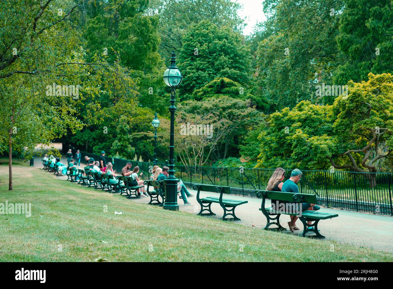 Reihe von Bänken im Hyde Park, London Stockfoto