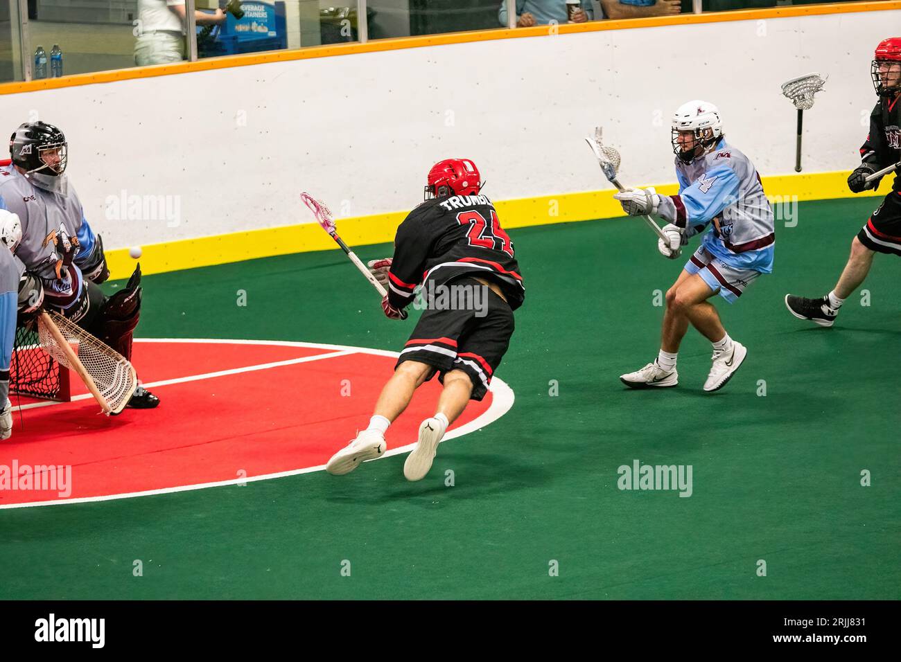 Edmonton, Kanada. August 2023. Burlington Blaze (schwarz/rot) Ben Trumble (24) fliegt über die Falten, als er auf Calgary Mountaineers Goalie Daine Mattson (30) in der Minto Cup Day 2 Action zwischen Calgary Mountaineers und Burlington Blaze in der Bill hinter Arena schießt. Calgary Mountaineers vs Burlington Blaze, 6:8 Credit: SOPA Images Limited/Alamy Live News Stockfoto