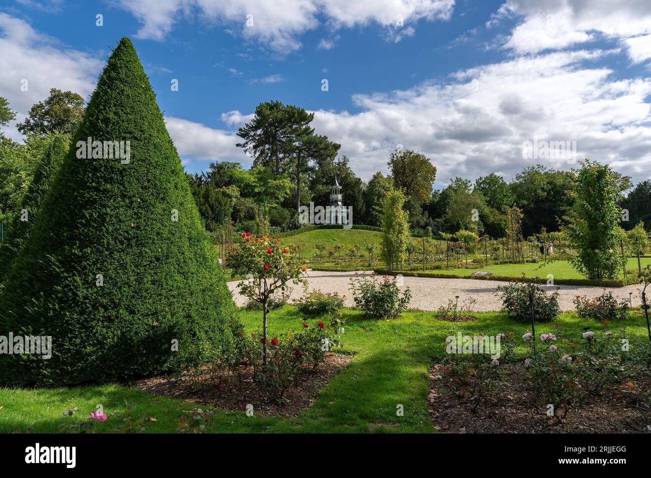Rosengarten im Bagatelle Park - Paris, Frankreich Stockfoto