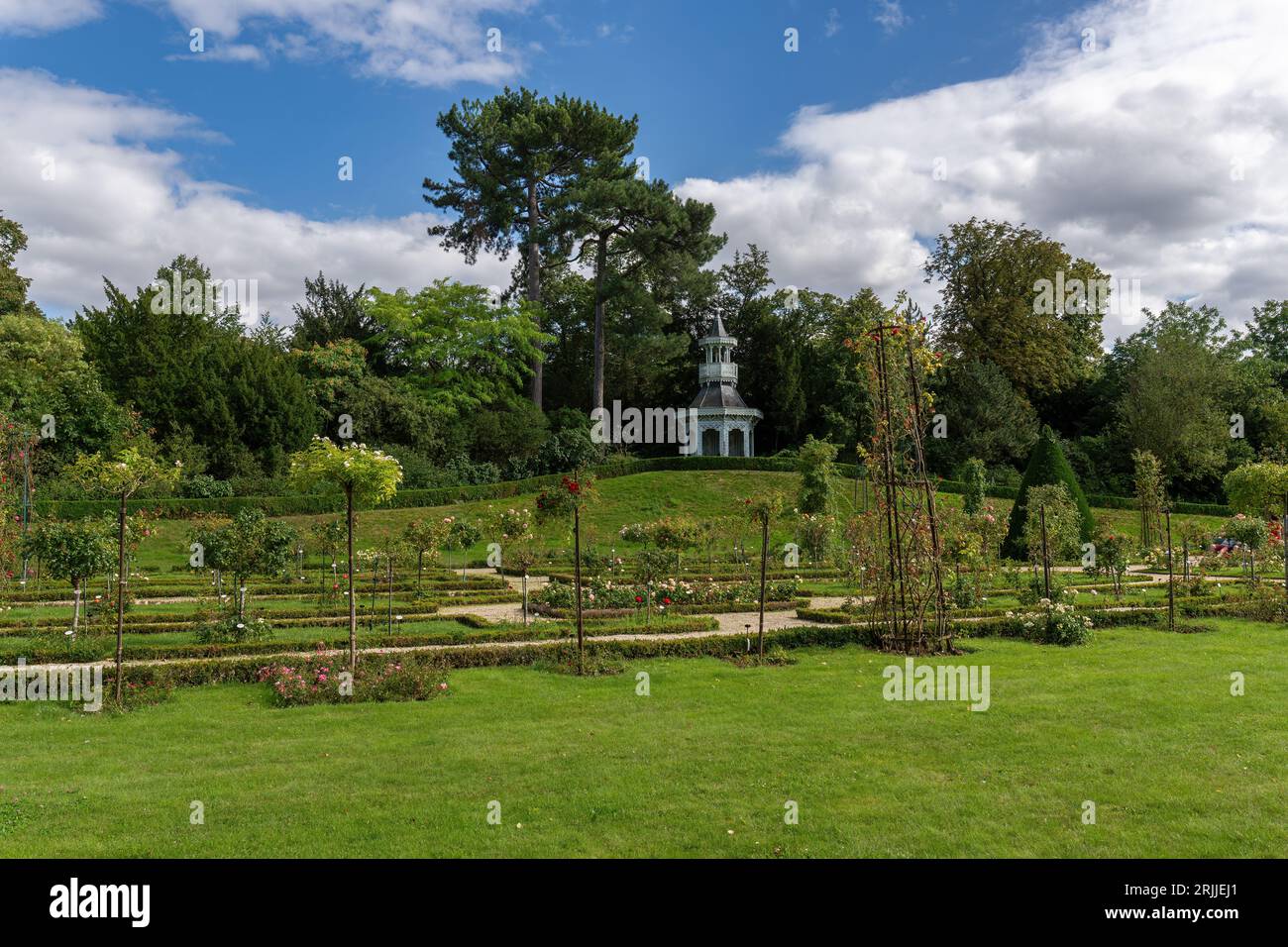 Rosengarten im Bagatelle Park - Paris, Frankreich Stockfoto