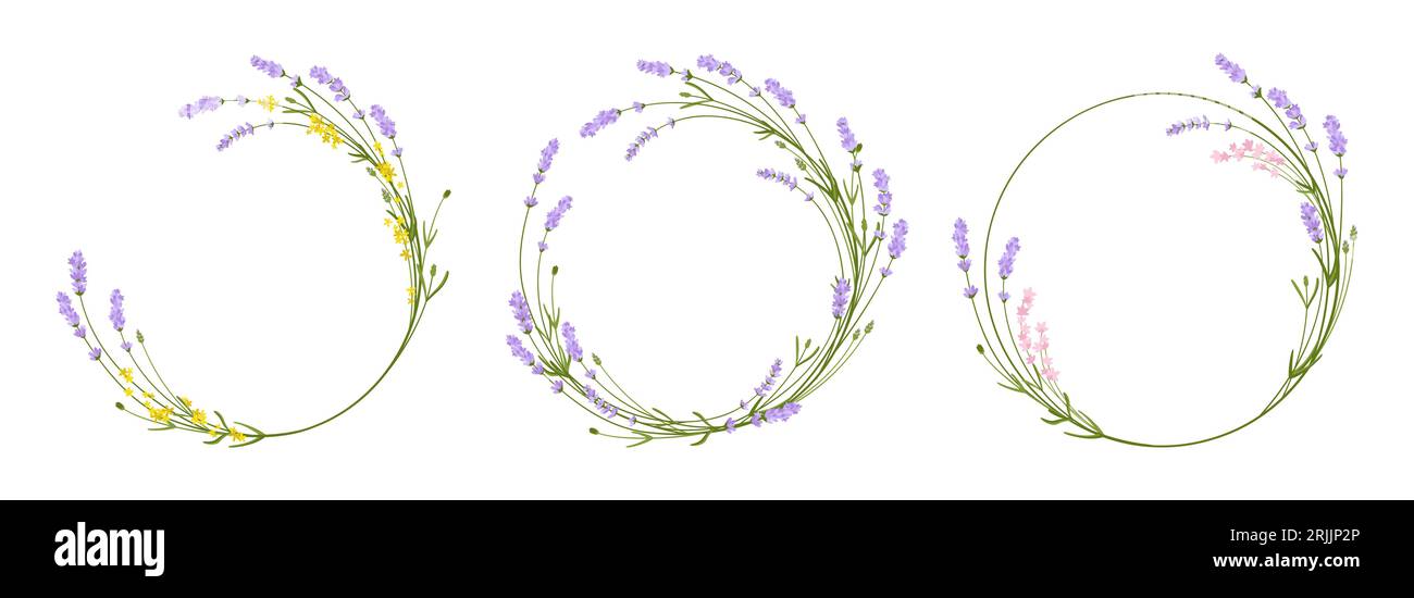 Lavendelrahmen mit Blumen, kreisförmiges Kräuter-Set mit Kranz. Handgezeichneter Vintage-Lorbeerblatt hinterlässt dekorative Hochzeitselemente. Botanischer rustikaler Blumenzweig und Kräutermonogramm, Postkartenaufkleber Stock Vektor