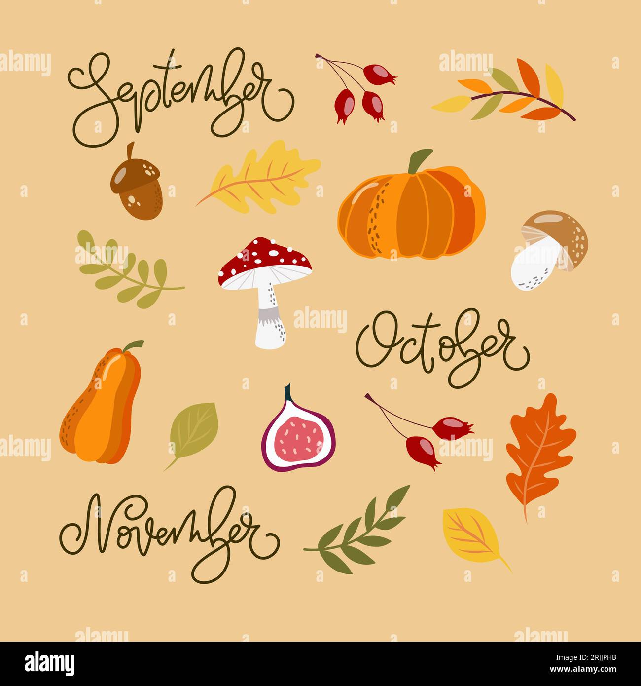 Set aus handgezeichneten Herbstelementen. Stock Vektor
