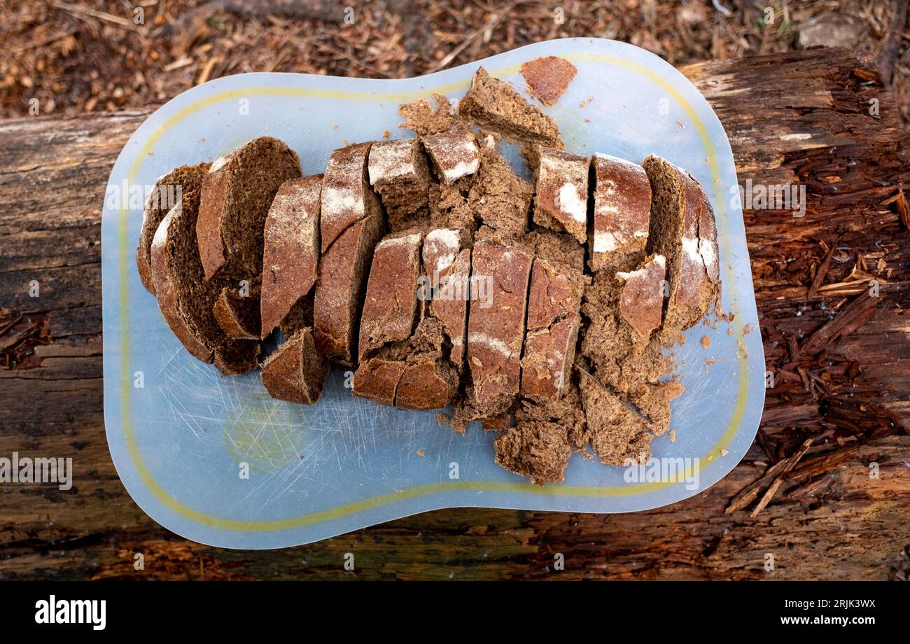 Ein Laib Roggenbrot, in Stücke geschnitten, auf einem Holzstamm im Wald Stockfoto