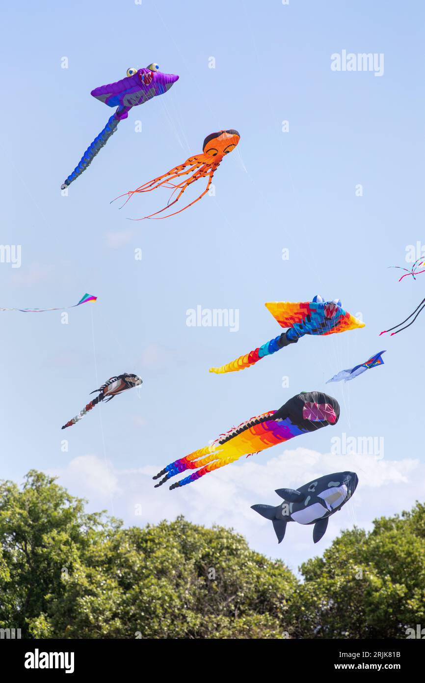 Kite Festival, Nelson, Neuseeland Stockfoto