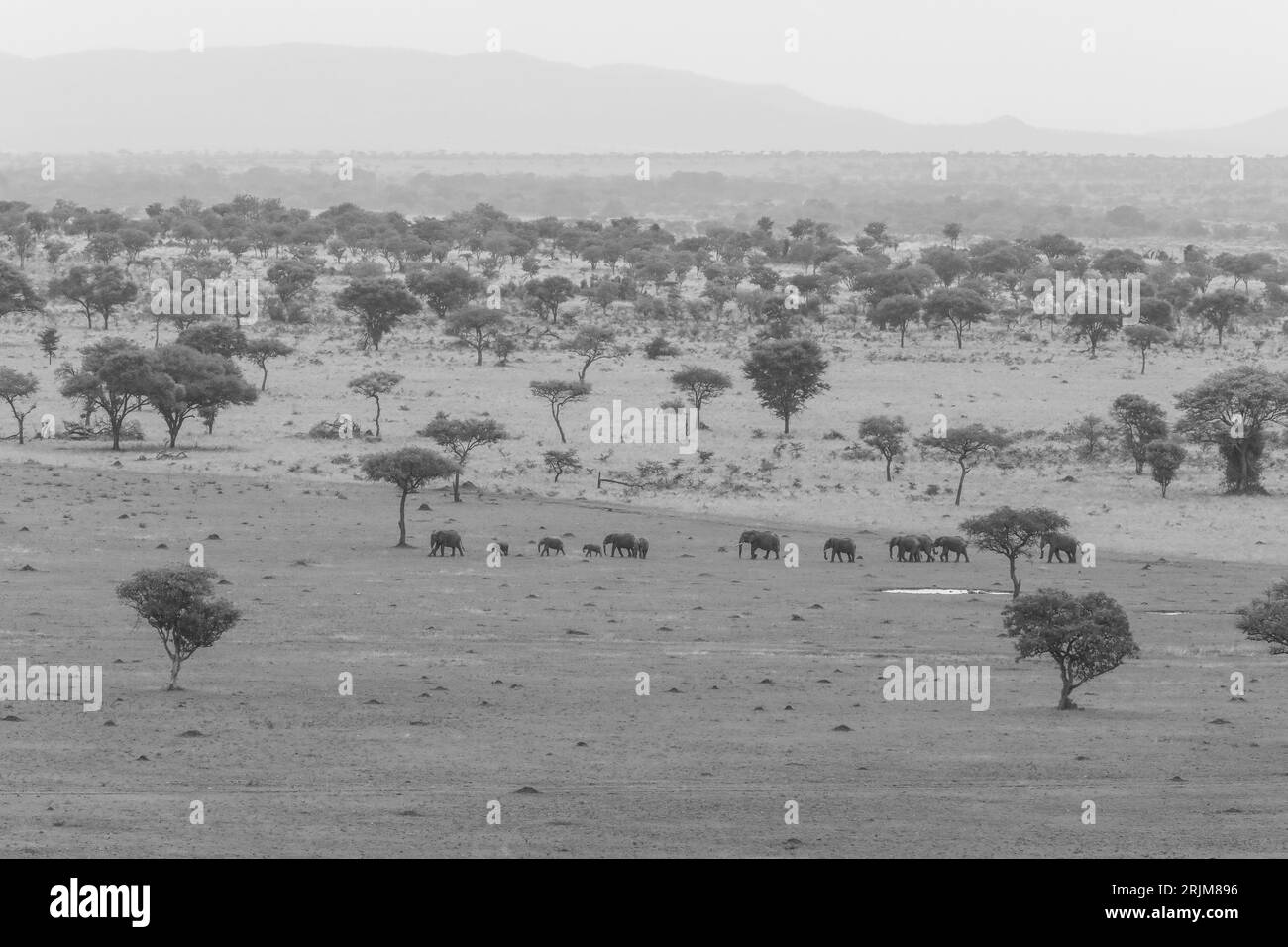 TANSANIA AFRIKA Stockfoto
