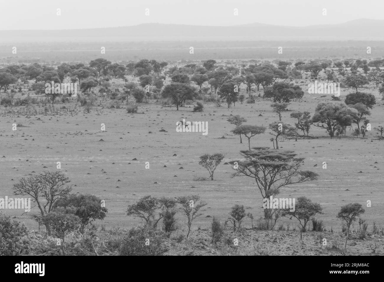TANSANIA AFRIKA Stockfoto
