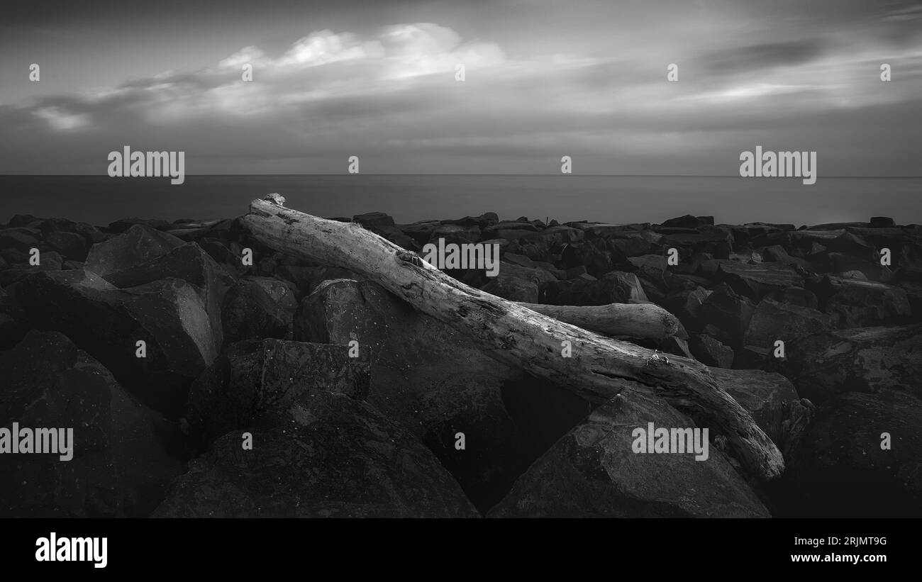 Ein Schwarzweißfoto, das eine abstrakte monochrome Meereslandschaft mit einem weißen Stamm auf einem felsigen Ufer zeigt Stockfoto