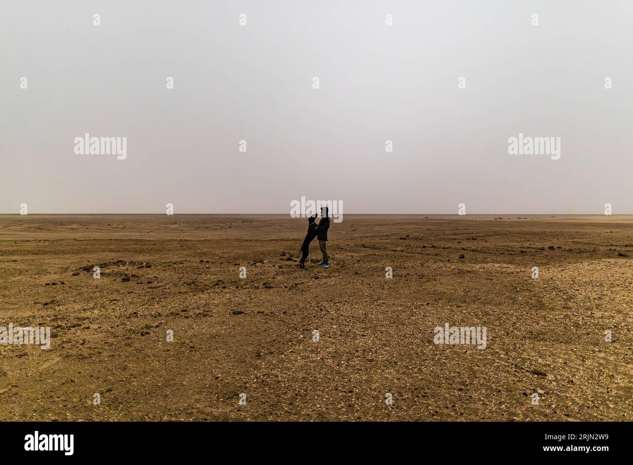Mann und Hund, die sich in stimmungsvollem Nebel, nebeliger Wüstenlandschaftsfreundschaft umarmen Stockfoto