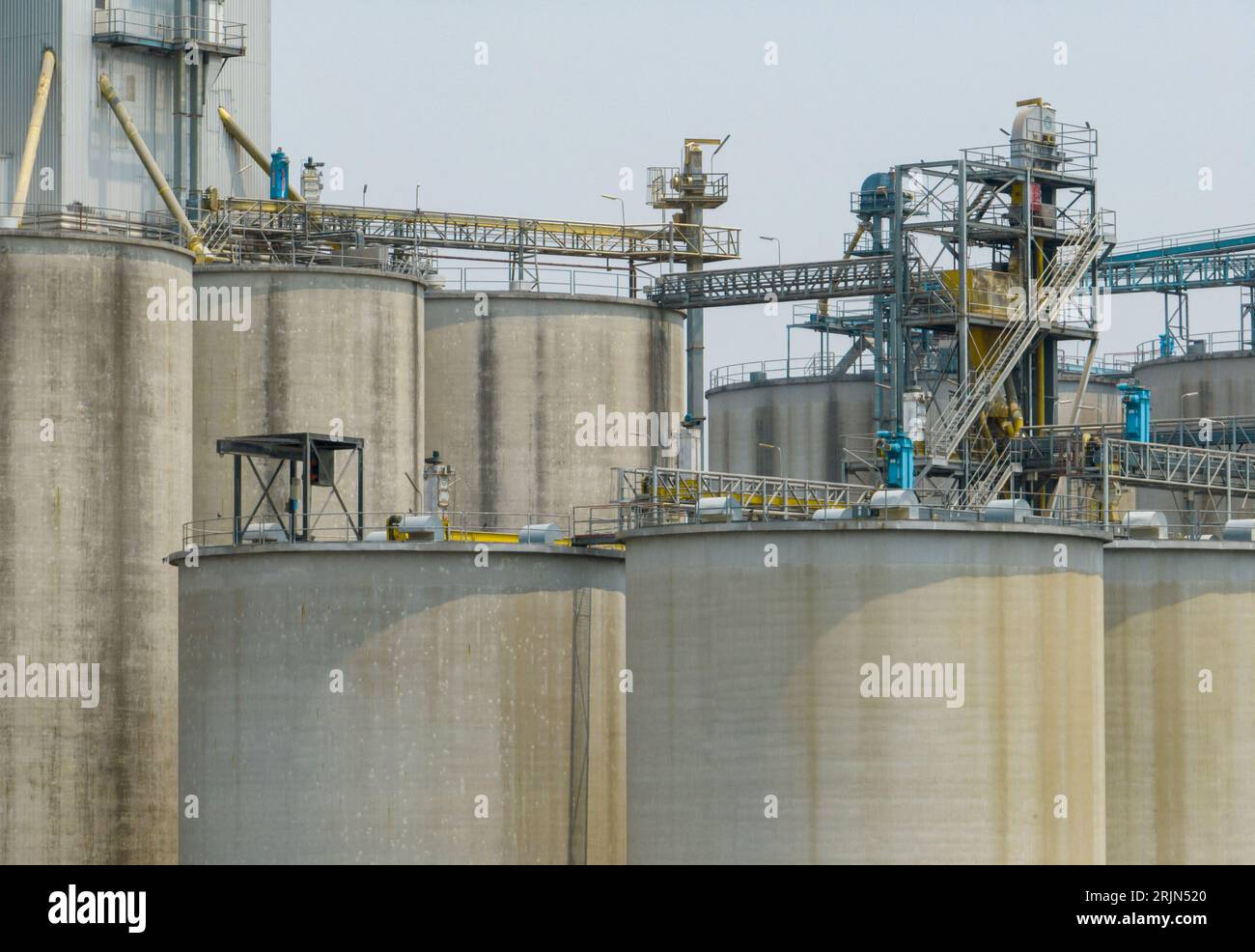 Tierfutterfabrik. Silos für die Landwirtschaft, Getreidelagersilos. Landwirtschaft. Landwirtschaftsbetrieb. Innovation bei der Kornspeicherung. Landwirtschaftliche Silos Stockfoto