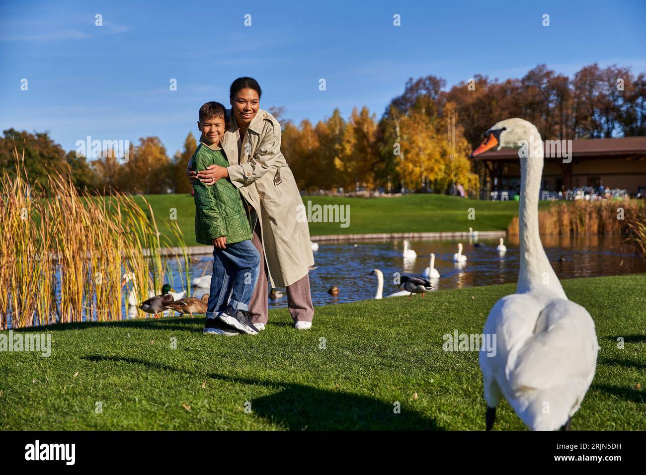 Glückliche afroamerikanische Frau umarmt Sohn und schaut weißen Schwan im Park an, Herbstmode, sonnig Stockfoto