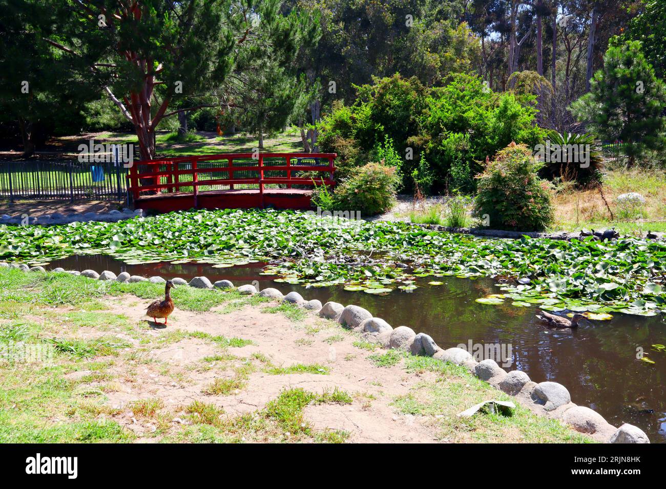 Los Angeles, Kalifornien: Der Doris Japanese Garden im Kenneth Hahn State Recreation Area Stockfoto