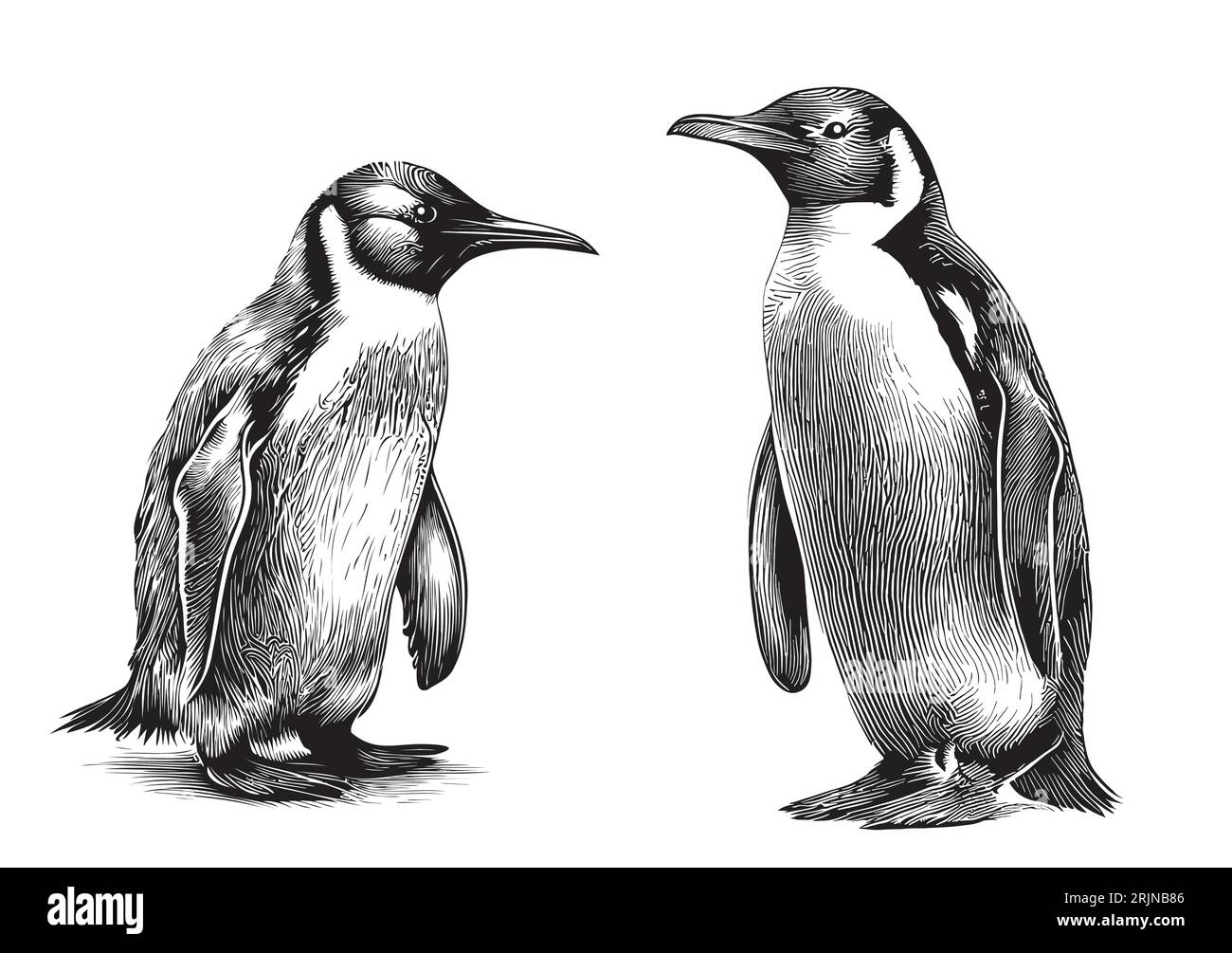 Niedliche Pinguine Meerestiere Hand gezeichnete Skizze Vektor-Illustration Stock Vektor