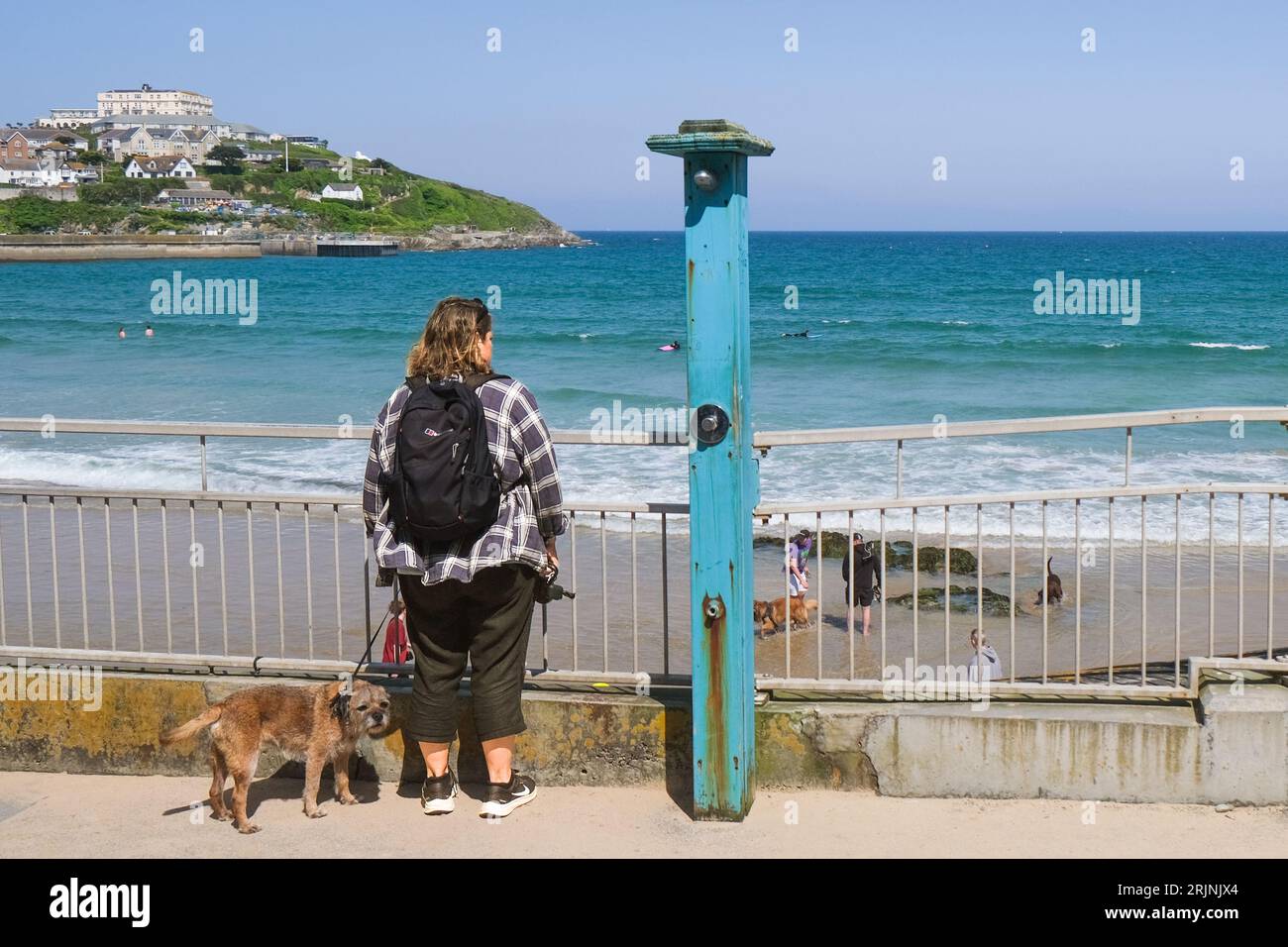 Eine Besucherin und ihr Hund, die draußen stehen und den Towan Beach in Newquay in Cornwall in Großbritannien sehen. Stockfoto