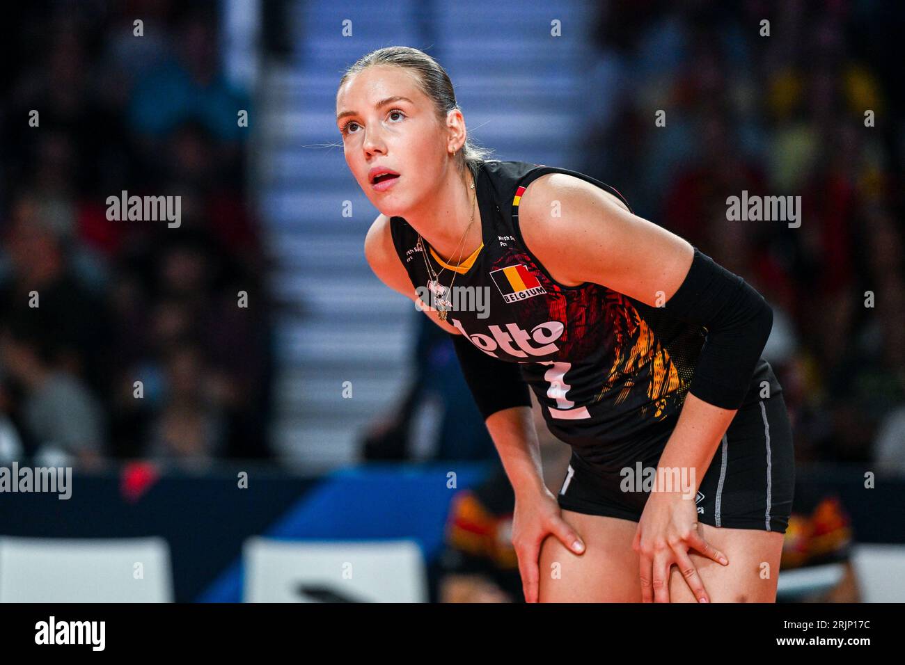 Gent, Belgien. August 2023. Celine Van Gestel (7) aus Belgien, dargestellt während eines Volleyballspiels zwischen den belgischen Nationalmannschaften, bekannt als die Gelben Tiger, und Polen während des elften Spiels der CEV Euro Volley Championshiop in Pool A, am Dienstag, den 22. August 2023 in Gent, BELGIEN. Quelle: Sportpix/Alamy Live News Stockfoto