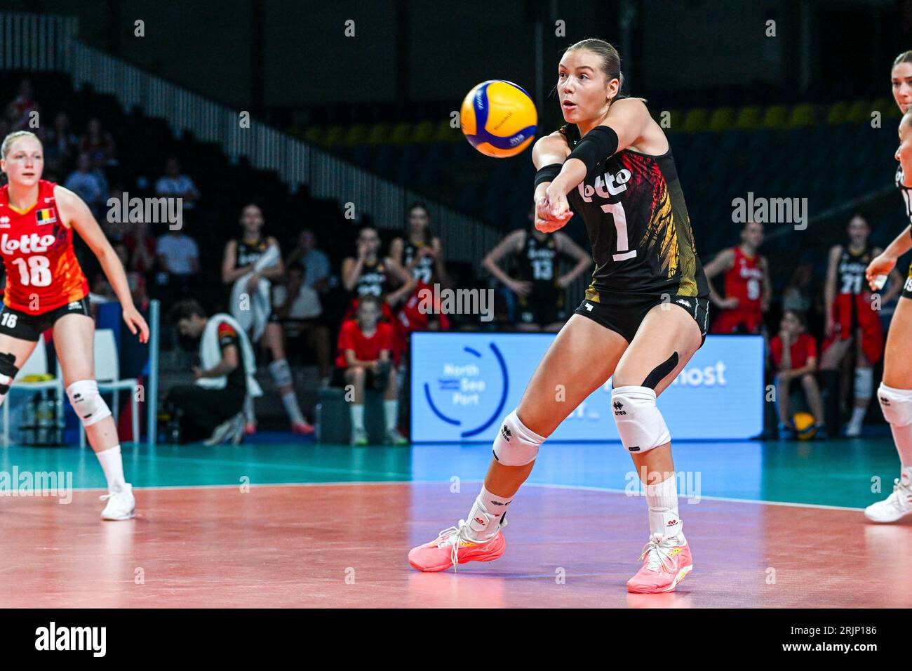 Gent, Belgien. August 2023. Celine Van Gestel (7) aus Belgien, dargestellt während eines Volleyballspiels zwischen den belgischen Nationalmannschaften, bekannt als die Gelben Tiger, und Polen während des elften Spiels der CEV Euro Volley Championshiop in Pool A, am Dienstag, den 22. August 2023 in Gent, BELGIEN. Quelle: Sportpix/Alamy Live News Stockfoto