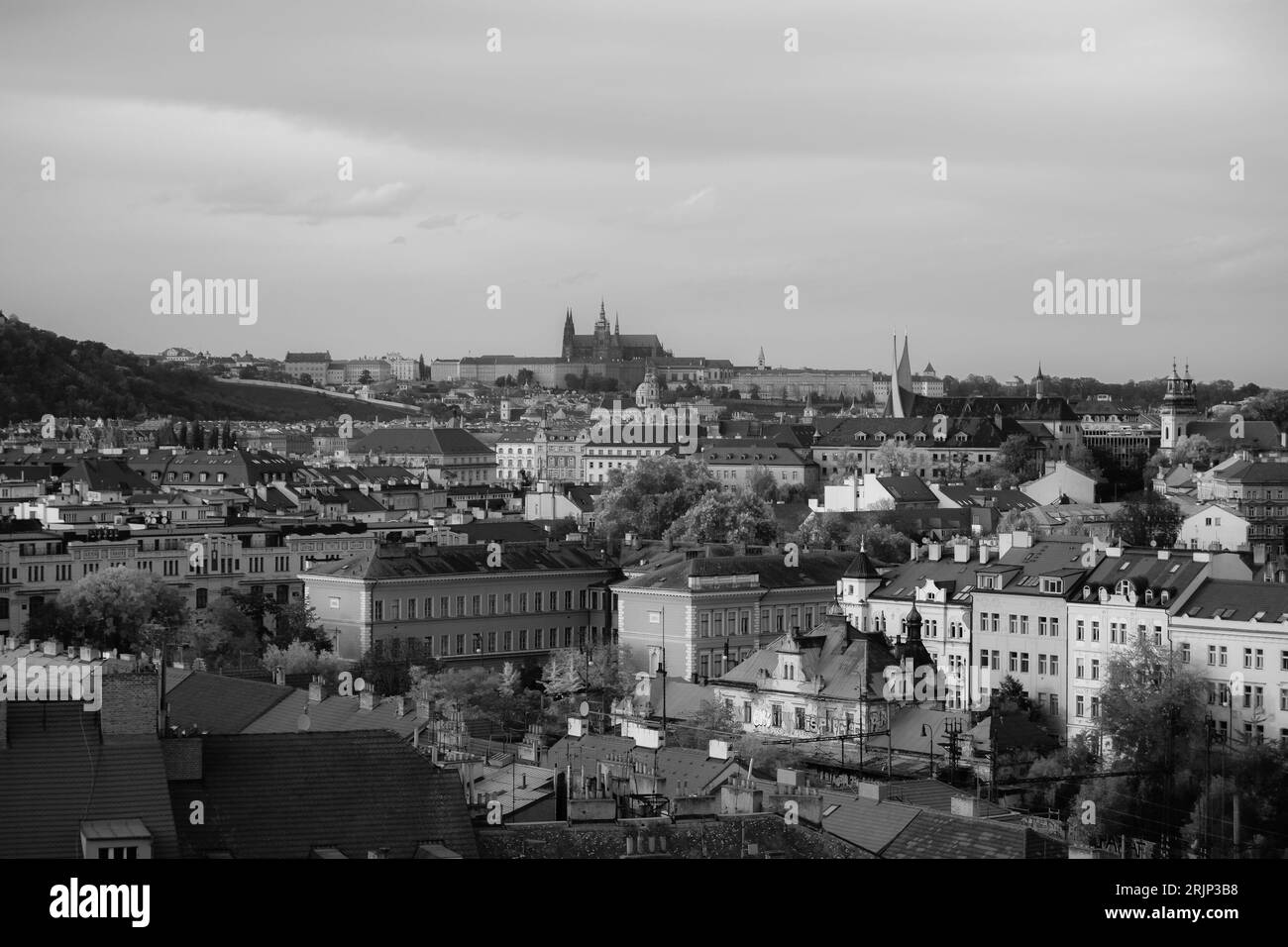 Herbstansicht des Zentrums von Prag Schwarz-weiß II von Vysehrad, Tschechische Republik Stockfoto
