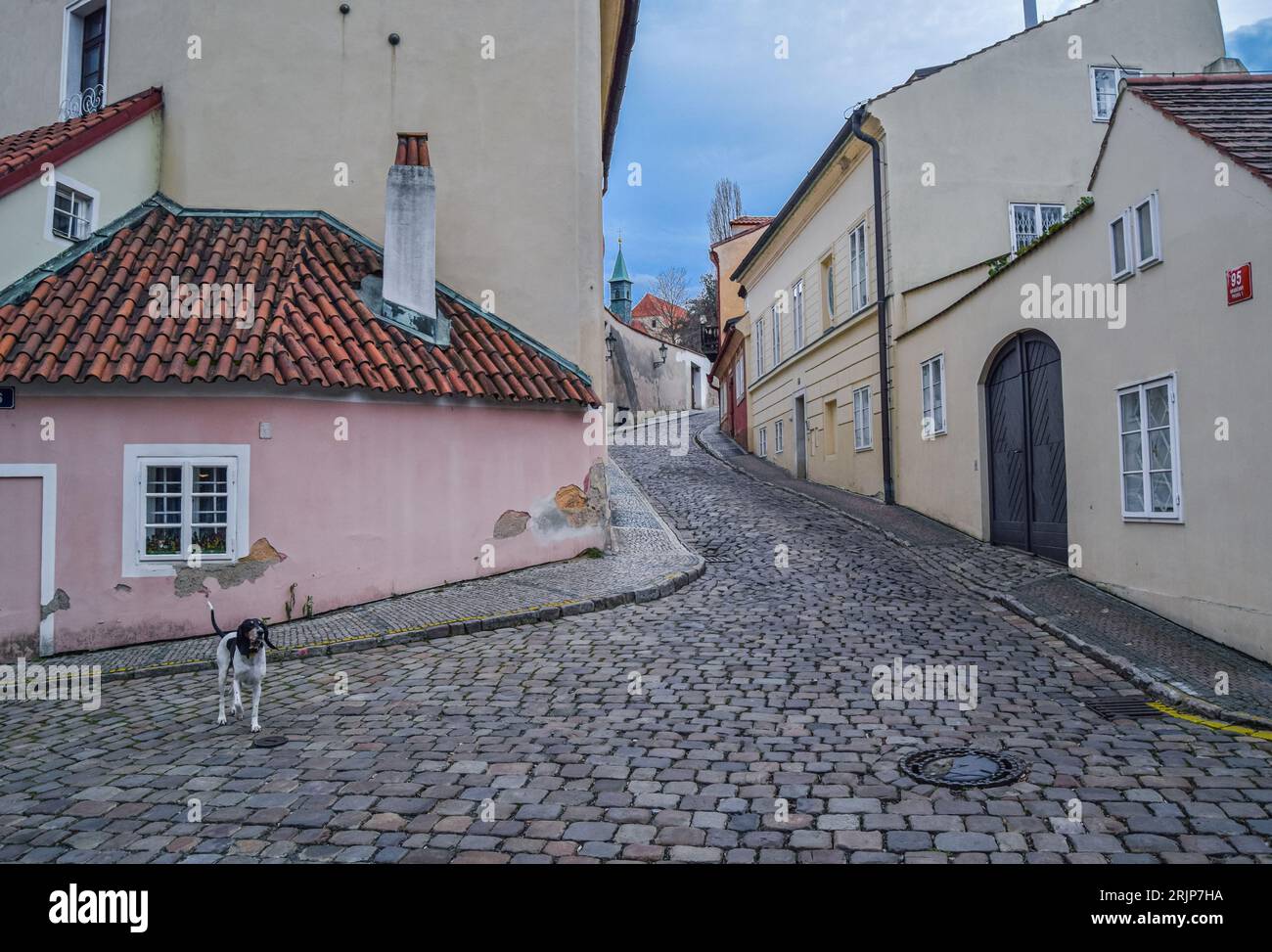 Hund auf dem Platz der Neuen Welt in Prag in der Tschechischen Republik Stockfoto