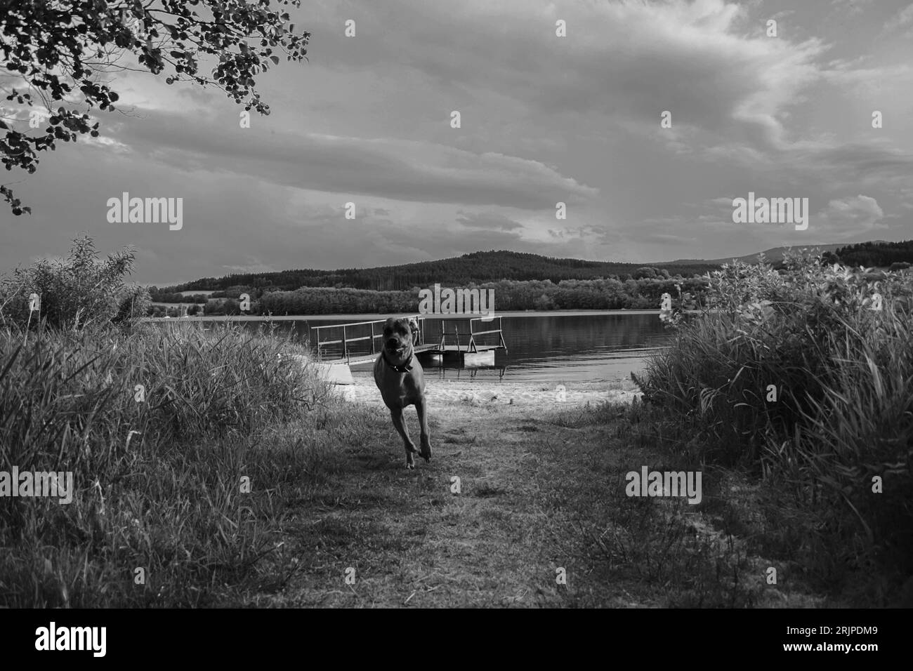 Lipno Dam 1, Tschechische Republik, Sonnenuntergang schwarz und weiß Stockfoto