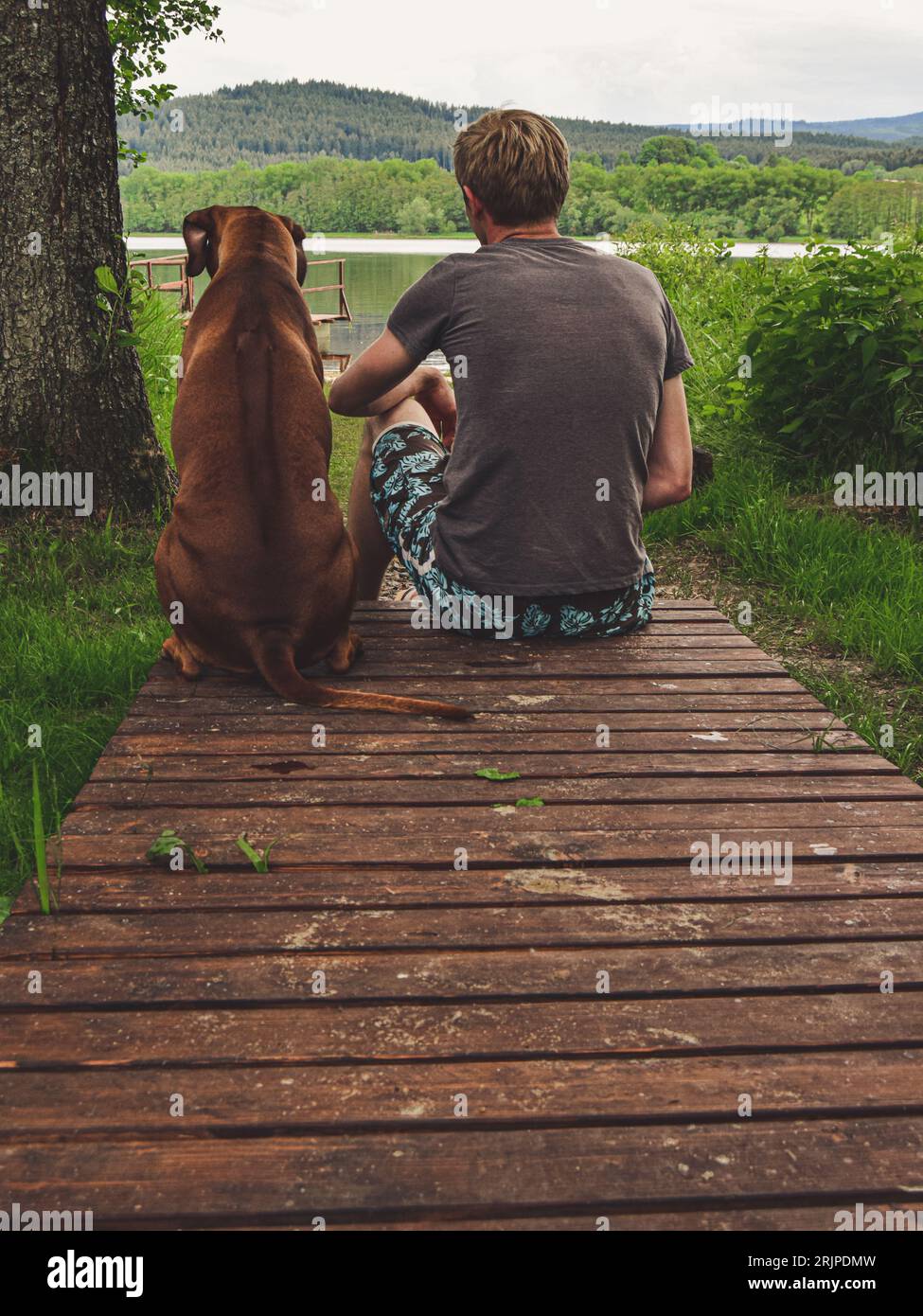 Mann mit Hundefreund, Rhodesian Ridgeback, Tschechische Republik Stockfoto