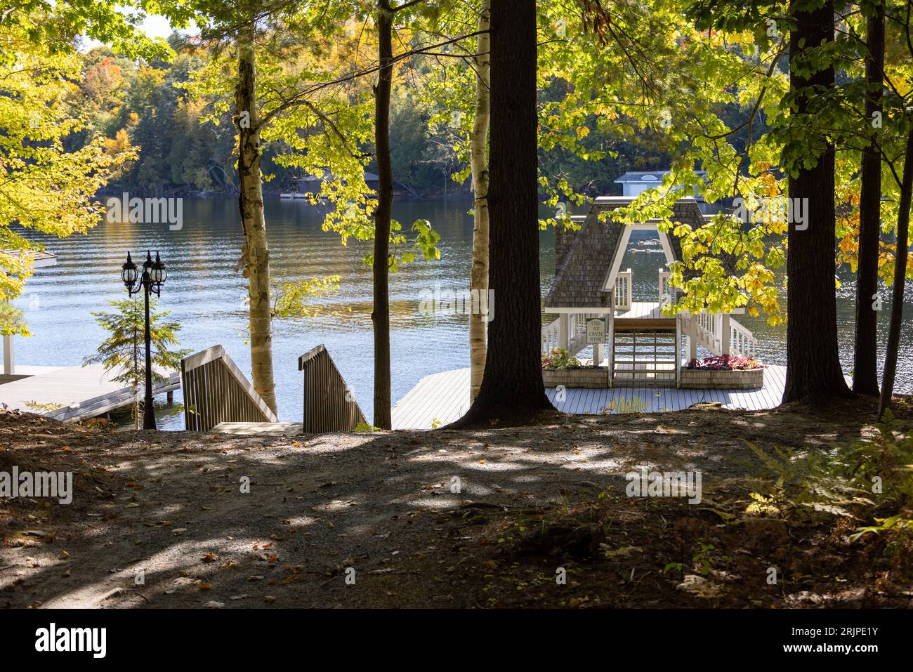 Ein schwimmendes Dock mit einem leichten Pfosten an einem See durch hohe dünne Bäume an einem hellen sonnigen Herbsttag in Muskoka, Ontario Stockfoto