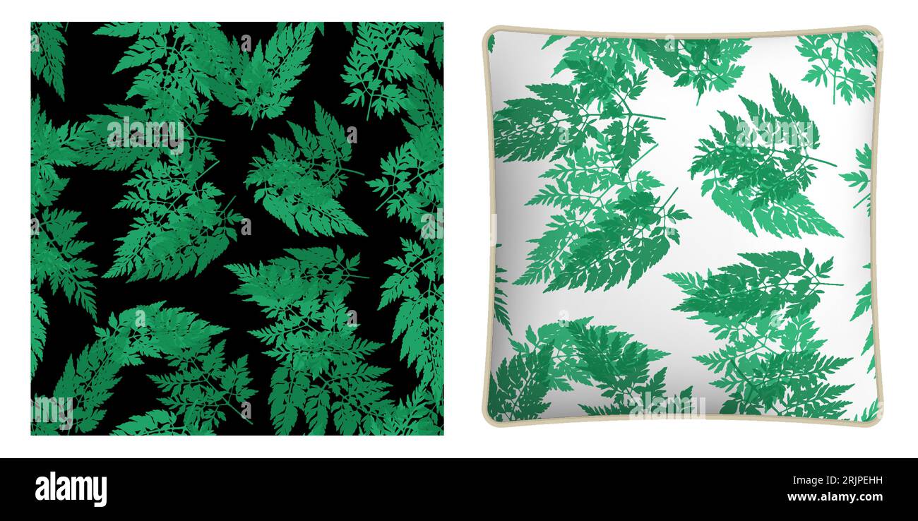 Quadratisches dekoratives Kissen, Schlafzimmer-Accessoire dekoriert Wildfeld Gras Petersilie mit Wiese Herbarium Gras nahtlose Muster. Vektorverzierung für Desig Stock Vektor