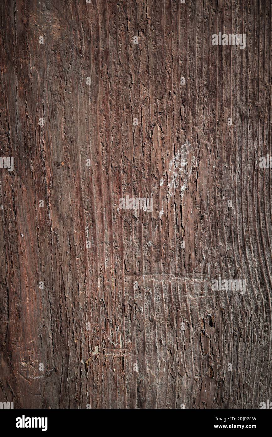 Textur der alten Holztür aus der Mühle Stockfoto