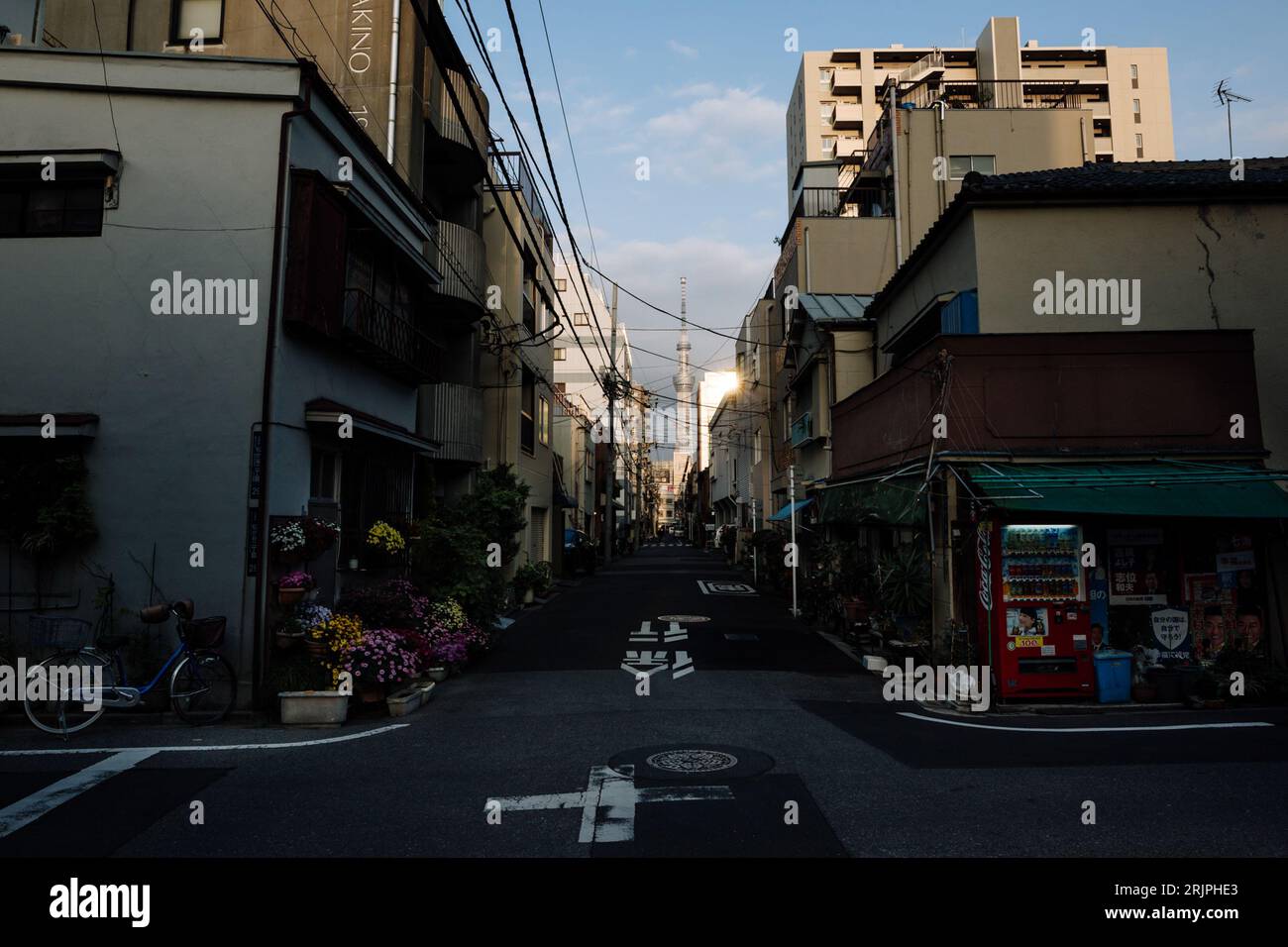 Eine pulsierende Straßenszene in Tokio, Japan, mit traditionellen Häusern und Ladenfronten entlang der farbenfrohen Stadtlandschaft Stockfoto