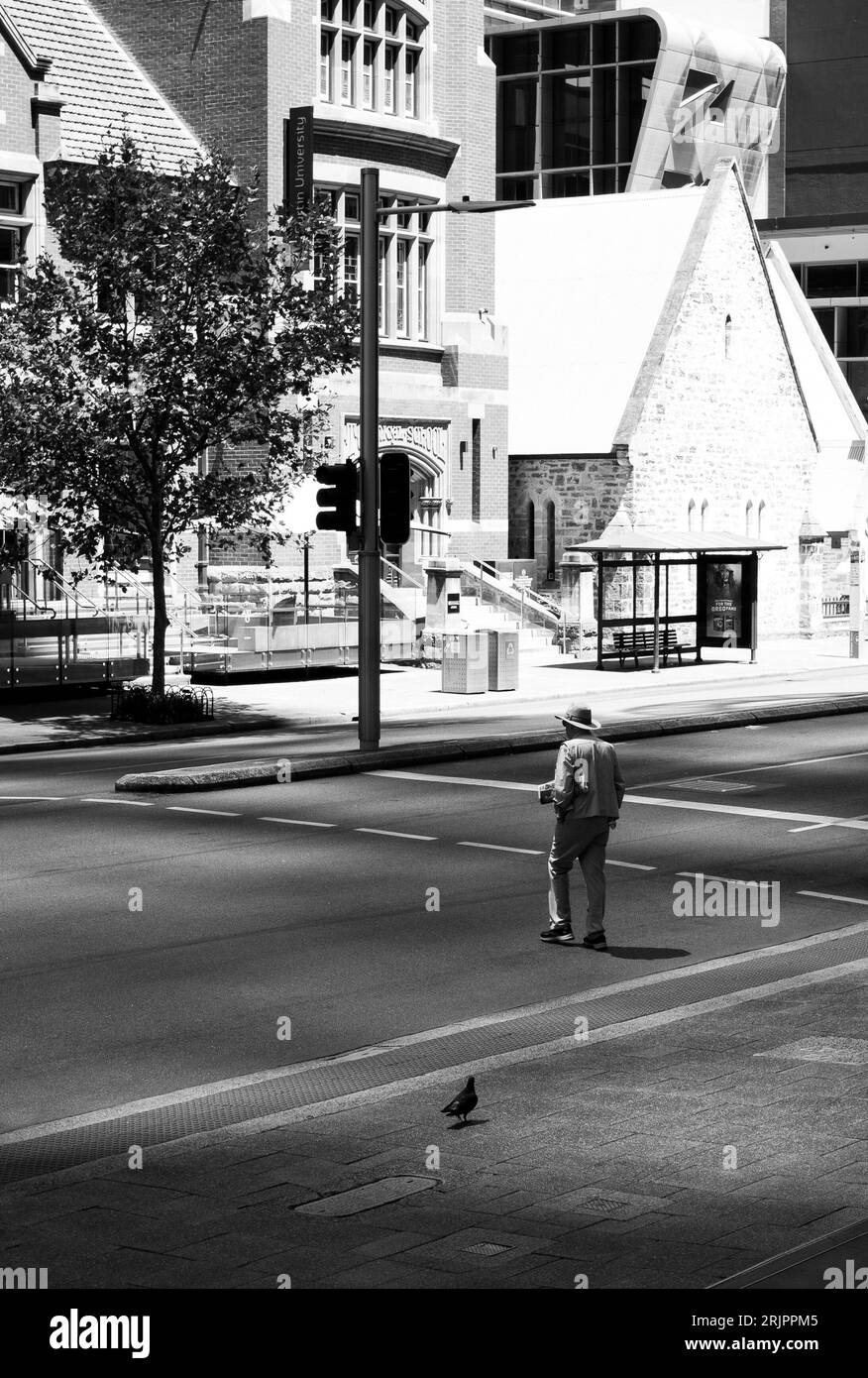 Ein reifer männlicher Erwachsener steht an einer Straßenecke in der Stadt, während ein kleiner Vogel im Vordergrund steht Stockfoto