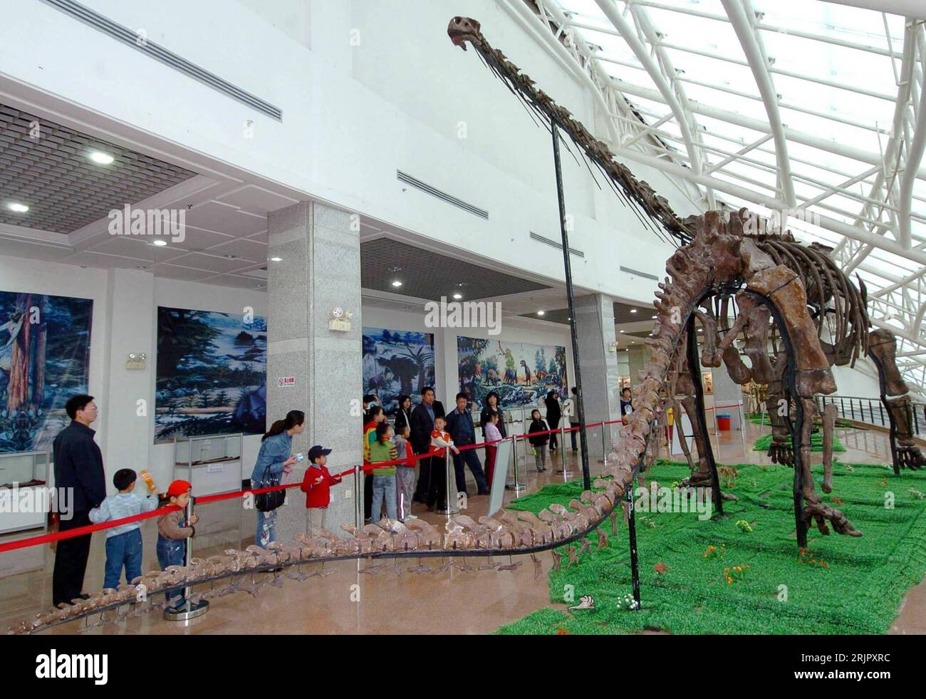 Bildnummer: 51251459 Datum: 04.05.2006 Copyright: imago/Xinhua Besucher bewundern das ausgestellte Dinosaurierskelett im Museum von Shenyang - PUBLICATIONxNOTxINxCHN, Objekte , Personen; 2006, Shenyang, Museum, Museen, Ausstellung, Saurier, Dinosaurier, Saurierskelett, Saurierskelett, Dinosaurierskelett, Skelett, Skelett, Dino, Dinos, Wissenschaft, Paläontologie; , quer, Kbdig, Totale, China, , Stockfoto
