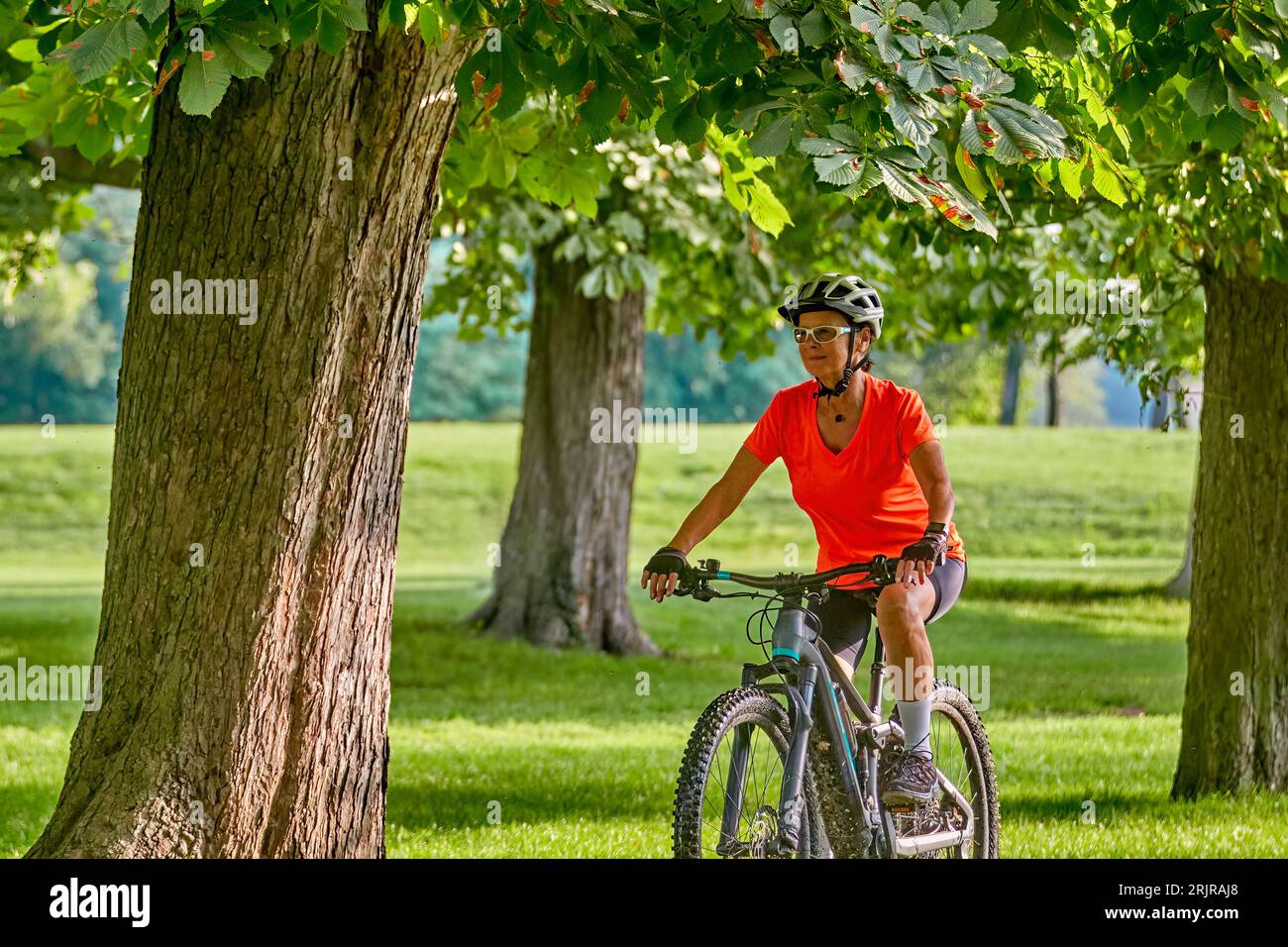 Attraktive Seniorenradfahrerin mit ihrem E-Mountainbike in einer schönen alten Eichen- und Kastanienallee in Ludwigsburg, Baden-Württemberg, GE Stockfoto