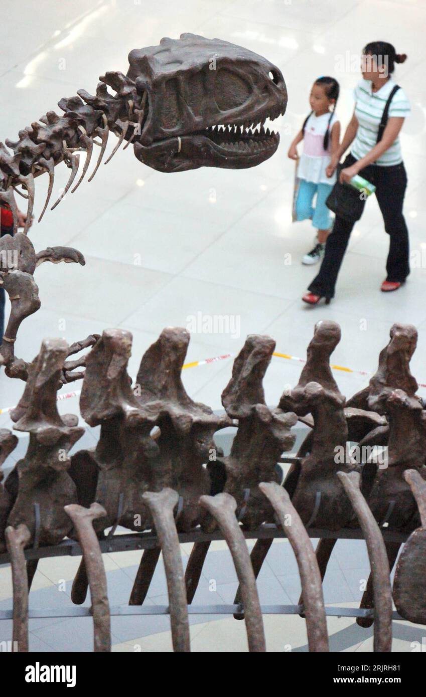 Bildnummer: 51424981 Datum: 02.09.2006 Copyright: imago/Xinhua Nachbildung von Dinosaurierskeletten in einem Einkaufszentrum in Taiyuan - PUBLICATIONxNOTxINxCHN, Objekte , Personen; 2006, Taiyuan, Skelett, Skelett, Dinosaurierskelett, Dinosaurierskelett, Skelett, Skelette, Knochen, Dino, Dinos, Dinosaurier, Chinesen, Chinesisch, Chinesin, Einkaufscenter, Center, Dekoration, Deko, Ausstellung, Ausstellungen, Besucher, Kind, Kinder,; , hoch, Kbdig, Einzelbild, Close, Einzelhandel, Wirtschaft, China, , Archäologie, Wissenschaft, Stockfoto