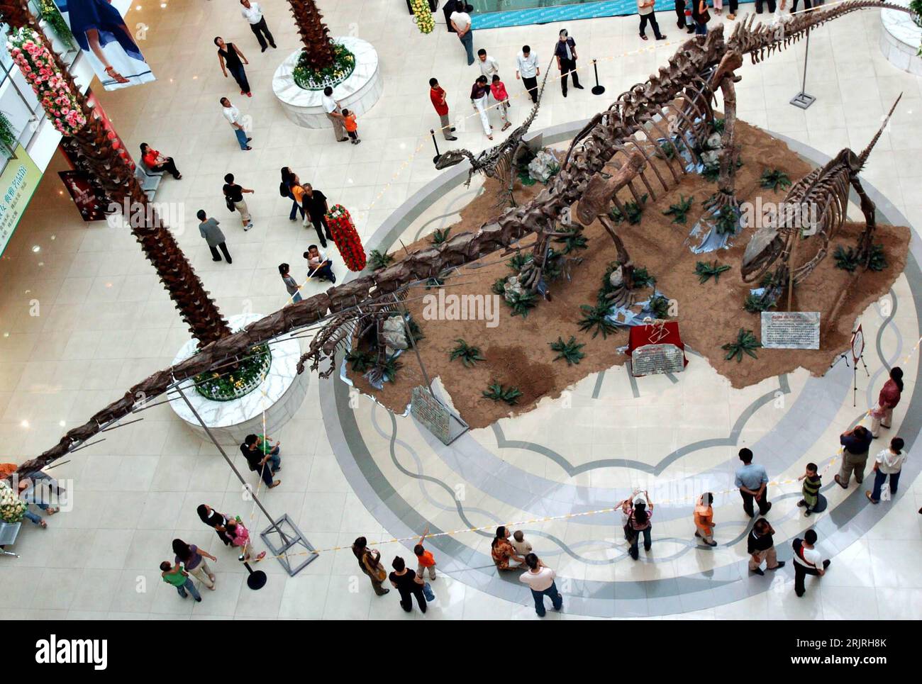 Bildnummer: 51424978 Datum: 02.09.2006 Copyright: imago/Xinhua Nachbildung von Dinosaurierskeletten in einem Einkaufszentrum in Taiyuan - PUBLICATIONxNOTxINxCHN, Gebäude, innen, Innenansicht , Objekte , Personen; 2006, Taiyuan, Skelett, Skelett, Dinosaurierskelett, Dinosaurierskelett, Skelett, Skelett, Knochen, Dino, Dinos, Dinosaurier, Chinesen, Chinesisch, Einkaufscenter, Center, Dekoration, Deko, Ausstellung, Ausstellungen,; , quer, Kbdig, total, Einzelhandel, Wirtschaft, Vogelperspektive, Perspektive, China, , Archäologie, Wissenschaft, Stockfoto