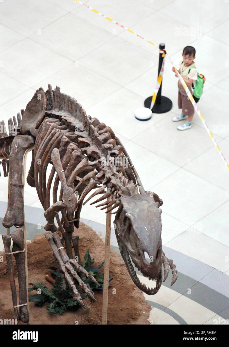 Bildnummer: 51424977 Datum: 02.09.2006 Copyright: imago/Xinhua Nachbildung eines Dinosaurierskelettes in einem Einkaufszentrum in Taiyuan - PUBLICATIONxNOTxINxCHN, Personen , Objekte , , Highlight; 2006, Taiyuan, Skelett, Skelett, Dinosaurierskelett, Dinosaurierskelett, Skelett, Skelett, Knochen, Dino, Dinos, Dinosaurier, Chinesen, Chinesisch, Art, Kinder, Einkaufscenter, Center, Dekoration, Deko, Ausstellungen,; , hoch, Kbdig, Einzelbild, Einzelhandel, Wirtschaft, Vogelperspektive, Perspektive, China, , Archäologie, Wissenschaft, Stockfoto
