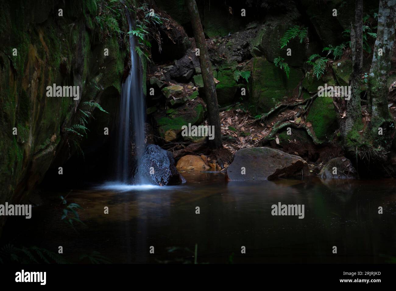 Ein herrlicher Wasserfall, der durch einen üppigen, dunkelgrünen Wald fällt, umgeben von einem Bett aus Felsen und hoch aufragenden Bäumen Stockfoto