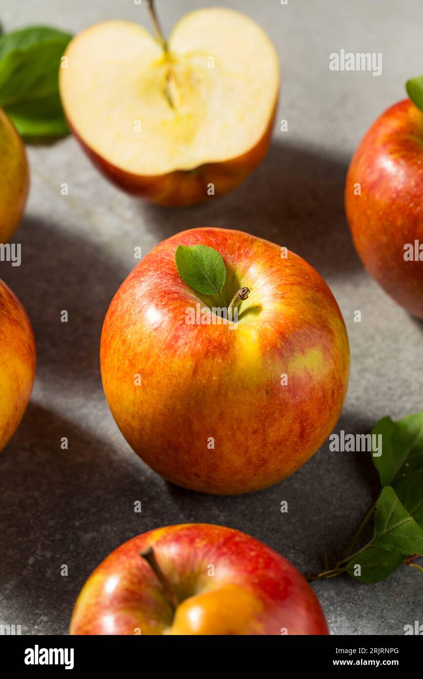 Rote Bio-Äpfel aus rohem Envy Stockfoto