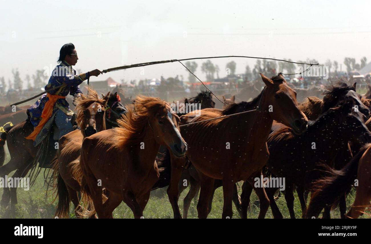 Bildnummer: 51513604 Datum: 18.08.2006 Copyright: imago/Xinhua Reiter versucht Pferde mit dem Lasso zu fangen anlässlich eines jährlichen Pferderennens in der Tongolei PUBLICATIONxNOTxINxCHN, Personen , Tiere , Dynamik; 2006, Tongolei, Zhurihe, Pferde, Pferd, Reiter, Wettkampf, reiten, reitet, reitend, mongolisch, mongolische, mongolische, Säugetiere, Lasso, einfangen, traditionelle fest; , quer, Kbdig, Einzelbild, , , / Tongliao, China, Pferderennen, Tradition Stockfoto