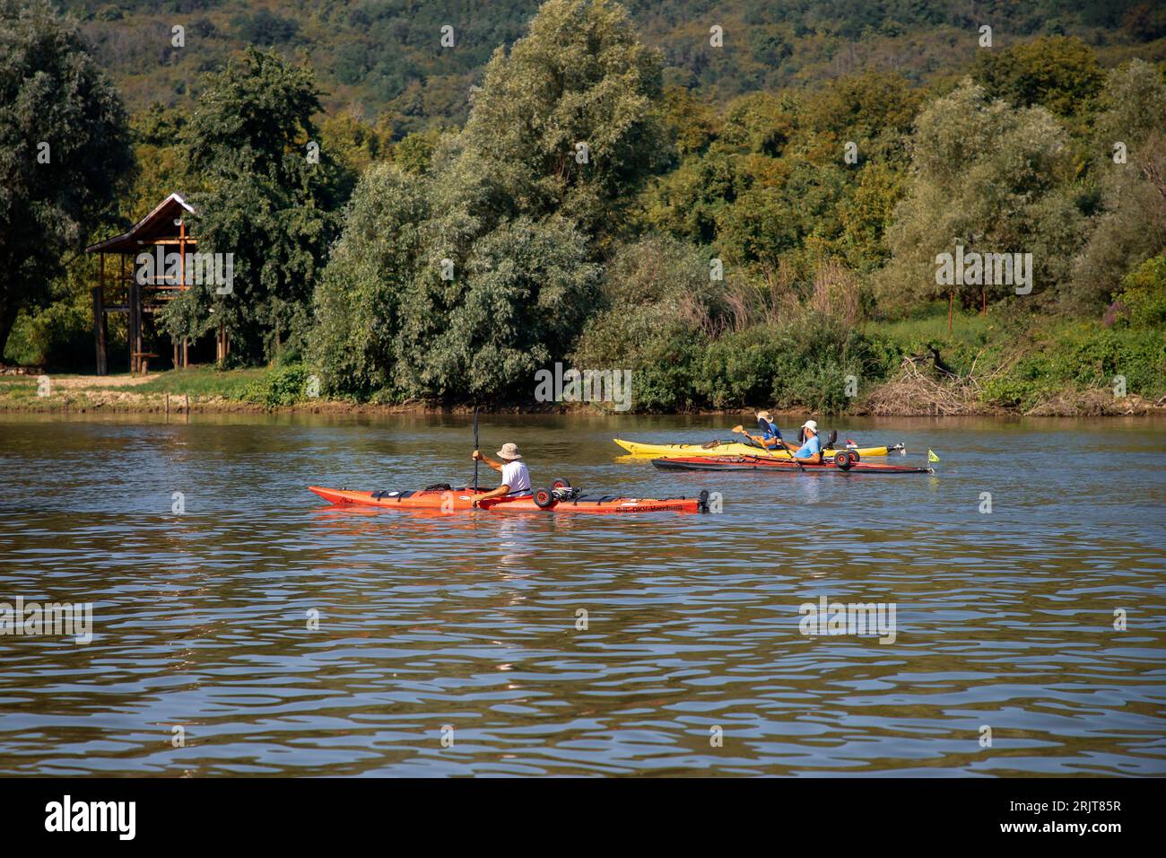 Serbien, 04. August 2023: Die Teilnehmer der TOUR INTERNATIONAL DANUBIEN (TID) Regatta (Quelle der Donau-Schwarzes Meer) passieren eine Etappe Veliko Selo Stockfoto