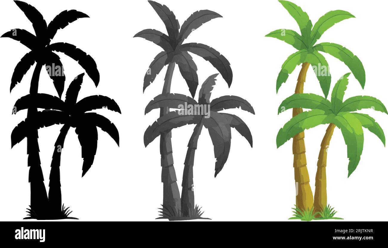 Drei verschiedene Palmenarten auf weißem Hintergrund Stock Vektor
