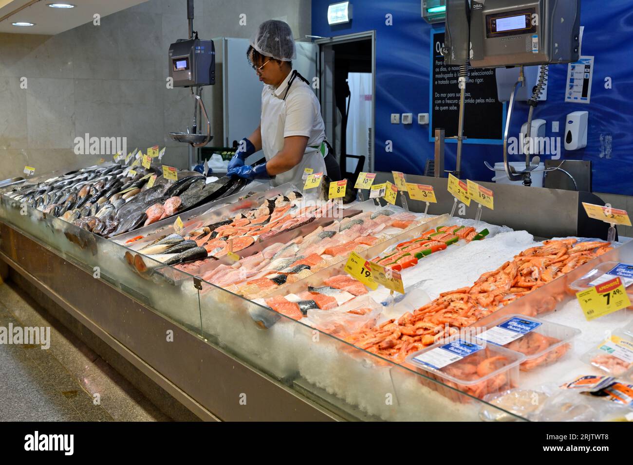 Frische Fischtheke im Supermarkt Pingo Doce, mit Garnelen und Fisch auf Crushed Ice Stockfoto
