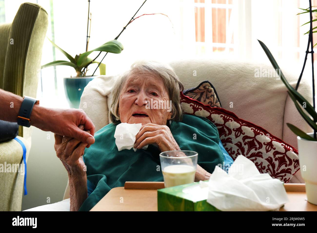 Ältere Dame im Alter von 103 Jahren Gefühl, ein Verwandter Hand in Care Home Großbritannien hundertjährigen 100 Jahre alt Stockfoto