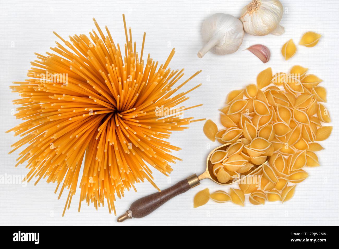 Italienische Pasta: Conchiglie-Pasta und Spaghetti mit Knoblauchzwiebeln Stockfoto Italienische Pasta: Conchiglie-Pasta und Spaghetti mit Knoblauchzwiebeln Stockfoto