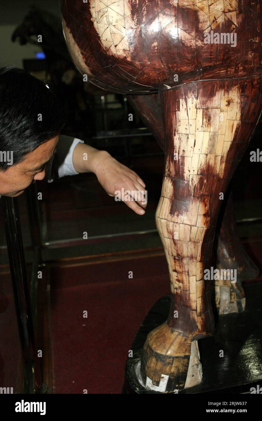 Bildnummer: 51872413 Datum: 14.05.2007 Copyright: imago/Xinhua Besucher betrachtet das Bein einer aus Elefantenknochen hergestellt Pferde-Skulptur aus der Qing Dynastie (1644-1912) während einer Ausstellung in Tianjin - China - PUBLICATIONxNOTxINxCHN, Objekte , Personen; 2007, Tianjin, Figur, Figuren, Pferd, Pferde; , hoch, Kbdig, Einzelbild, Bildhauerei, Kunst, China,,o0 Skulptur, Skulptur Stockfoto