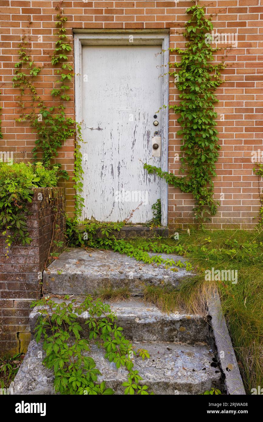 Nahaufnahme der Stufen, die zu einer Tür eines Ziegelgebäudes führen, die Farbablösung der Tür des vernachlässigten Gebäudes. Stockfoto