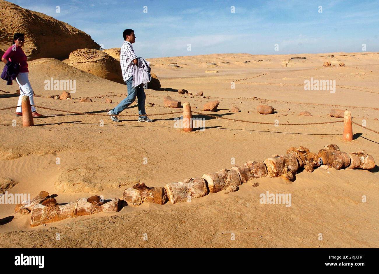 Bildnummer: 52264079 Datum: 29.11.2007 Copyright: imago/Xinhua Fossile Überreste im Wadi al-Hitan - Tal der Wale - in der Nähe von Kairo - PUBLICATIONxNOTxINxCHN, Objekte, Personen; 2007, Kairo, Paläontologie, Fossil, Fossilien, Vorfahren, Skelett, Skelette, Ausgrabung, Ausgrabungen, Fund, Funde, Ausgrabungsstätte, Dinosaurier, Dino, Dinos, Abgrenzung, Absperrung; , quer, Kbdig, total, Ägypten, , , Wissenschaft Stockfoto