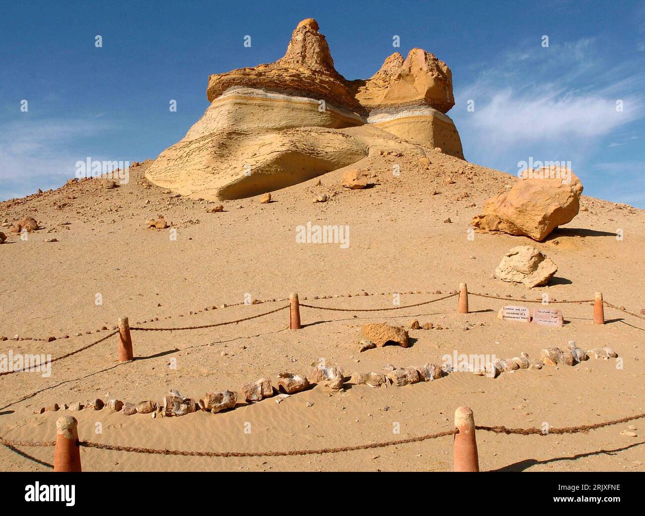Bildnummer: 52264064 Datum: 29.11.2007 Copyright: imago/Xinhua Fossile Überreste im Wadi al-Hitan - Tal der Wale - in der Nähe von Kairo - PUBLICATIONxNOTxINxCHN, Objekte; 2007, Kairo, Paläontologie, Fossil, Fossilien, Vorfahren, Skelett, Skelett, Ausgrabung, Ausgrabungen, Fund, Funde, Ausgrabungsstätte, Dinosaurier, Dino, Dinos, Abgrenzung, Absperrung; , quer, Kbdig, Totale, Ägypten, , Wissenschaft Stockfoto